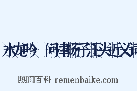 水龙吟·问津扬子江头近义词是什么意思的图片